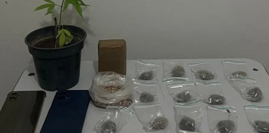 Polícia Militar Apreende Drogas e Prende Suspeito em Rio do Pires