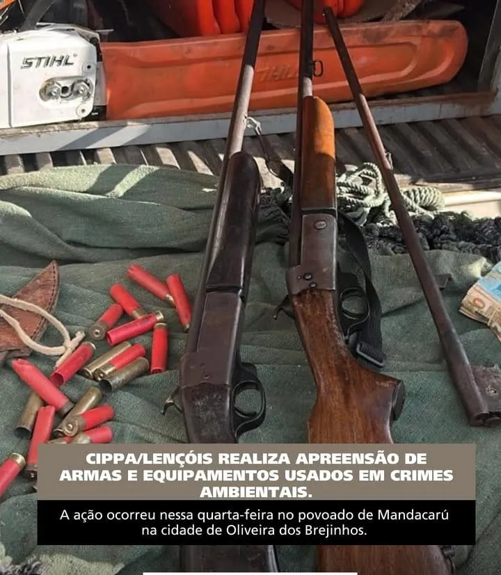 Operação em Mandacarú Resulta em Apreensão de Armas, Munições e Madeira Nativa em Oliveira dos Brejinhos